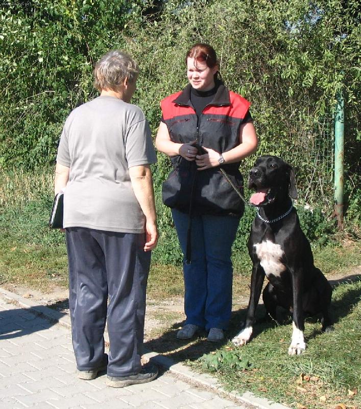 Foto: Dante na zkou�k�ch SchH/VPG