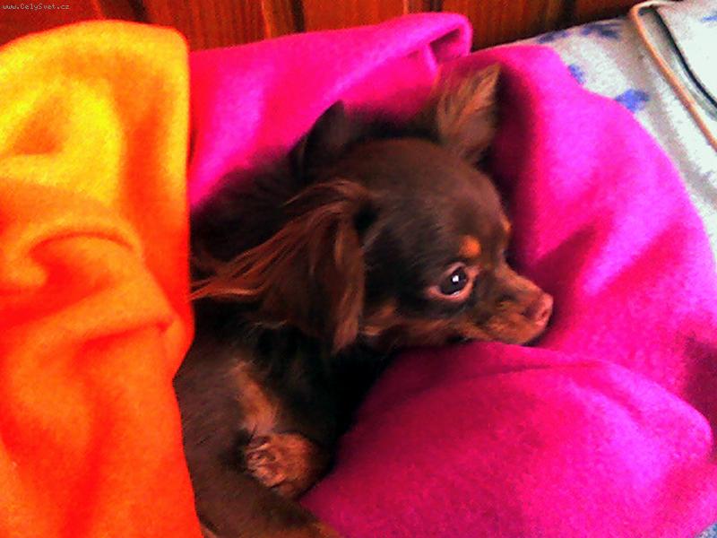 Foto: Magali-je�t� se netop� ... Tak m� p�ikrejte :-)