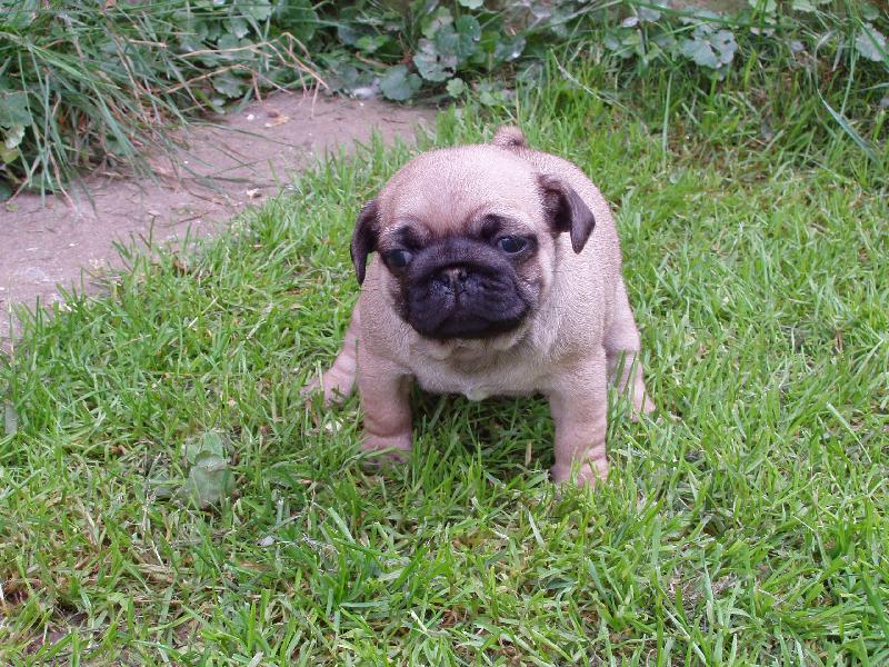 Foto: Na�e zlat��ko