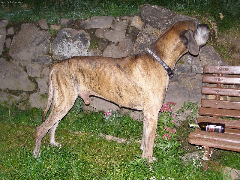 Foto: Caky u Rychl�ho ��bla