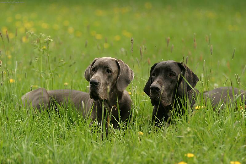 Foto: Aneta a Ennia-odlo�en�