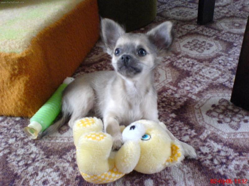 Foto: Anetka-Anetka s m��ou