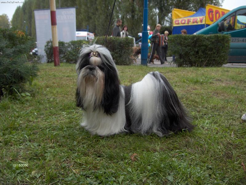 Foto: Vong-Kong Shah Abbas