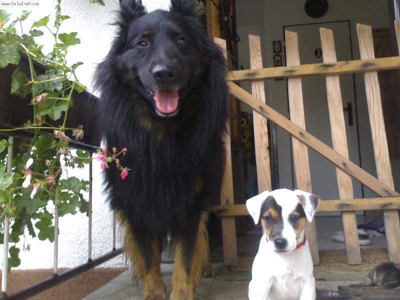 Foto: Fatty HOP TROP-Fatty s kamar�dem �ertem