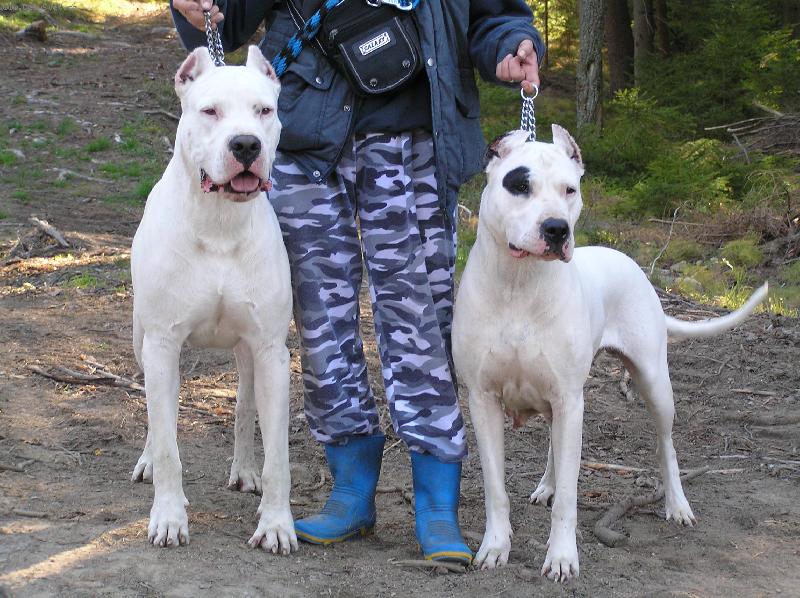 Foto: Espina x Rock (CHS Blansky les)