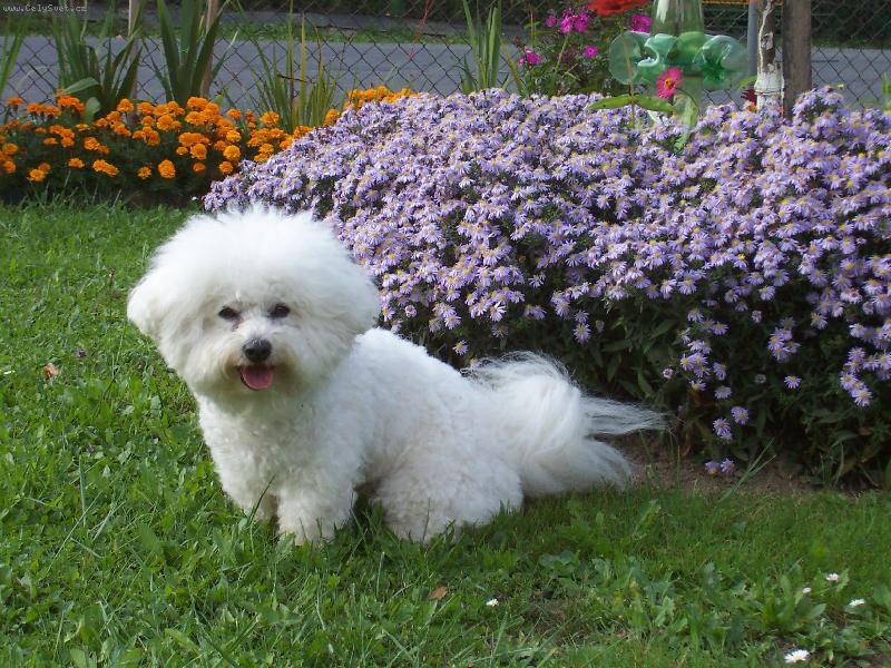 Foto: Andy z �erven�ch roklin