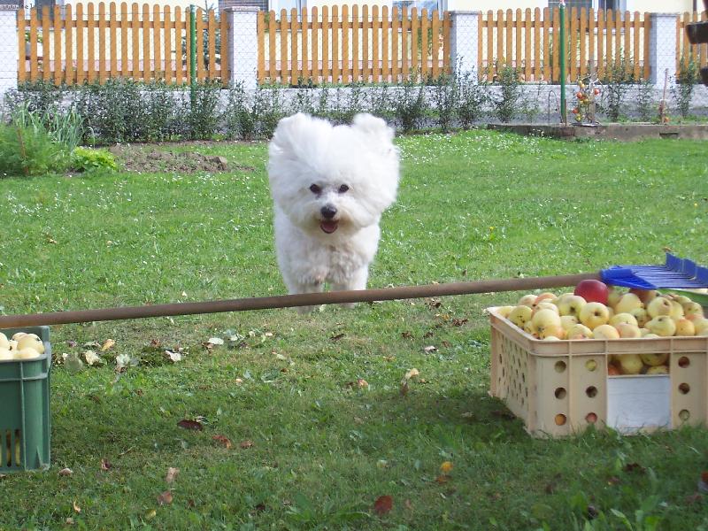 Foto: Andy z �erven�ch roklin-Vrozen� agili��k