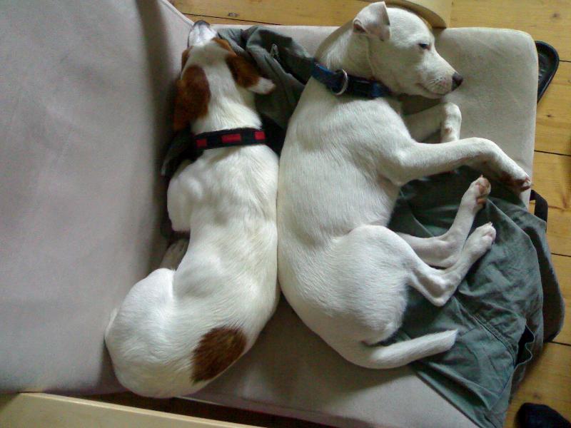 Foto: karl�k a eli�ka