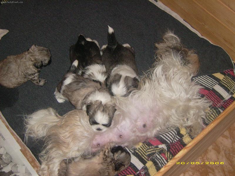 Foto: �t�natka-�t�natka od Meggy a Matesa