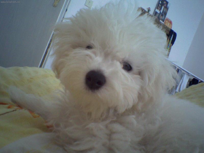 Foto: Bonnie-3-4 m�s�ce