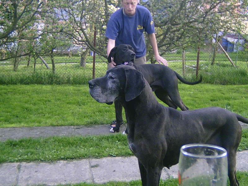 Foto: Orou�ek kolou�ek a b�binka Celzinka