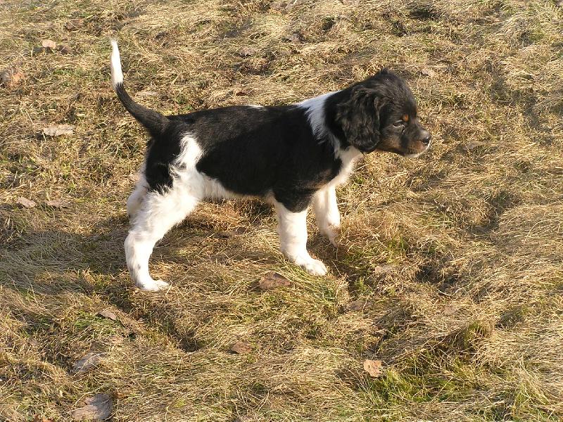 Foto: Bessy-to je na�e Bessynka