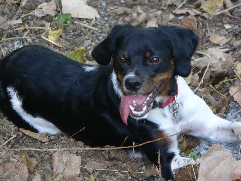 Foto: Bessy-tady u� je n�m 9 m�s�c�