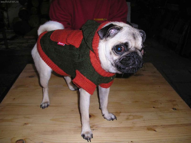 Foto: Na�e Matylda-co dodat