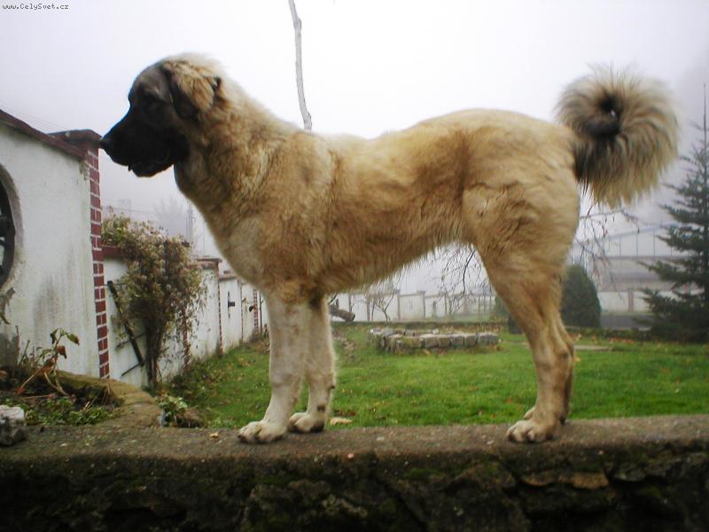 Foto: Areta Kreutzweg von Tahlspere-�t�n� v 8. m�s�ci