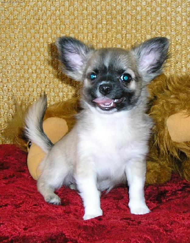 Foto: jsou n�m t�i m�s�ce