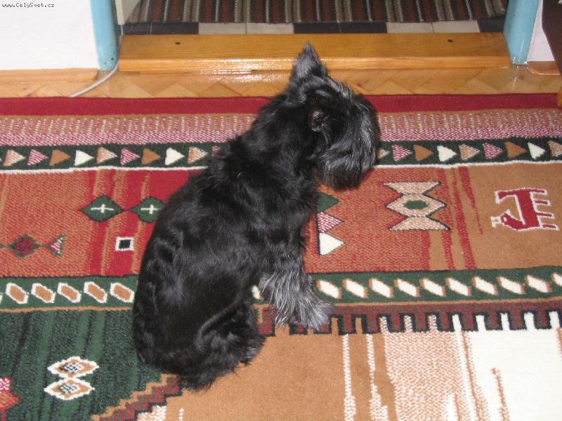 Foto: vzpom�nka na na�i Besinku