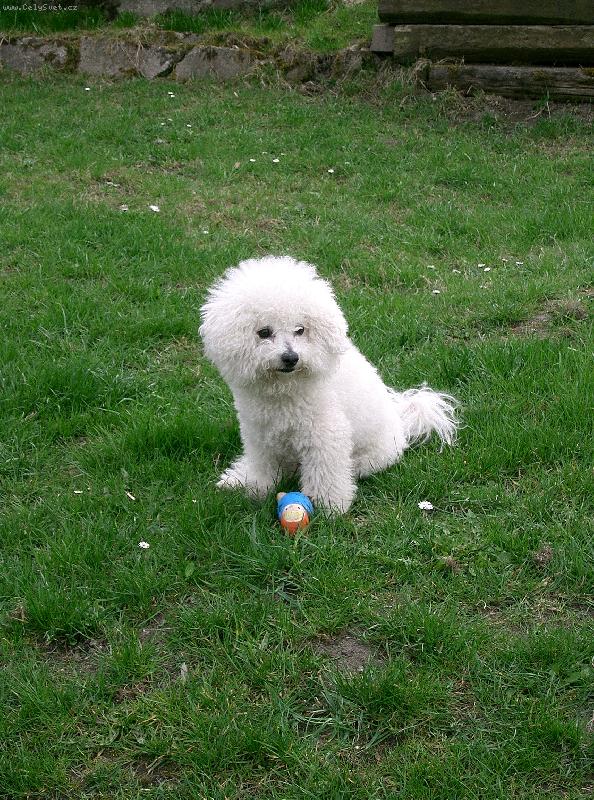 Foto: Ind�k na zahrad�