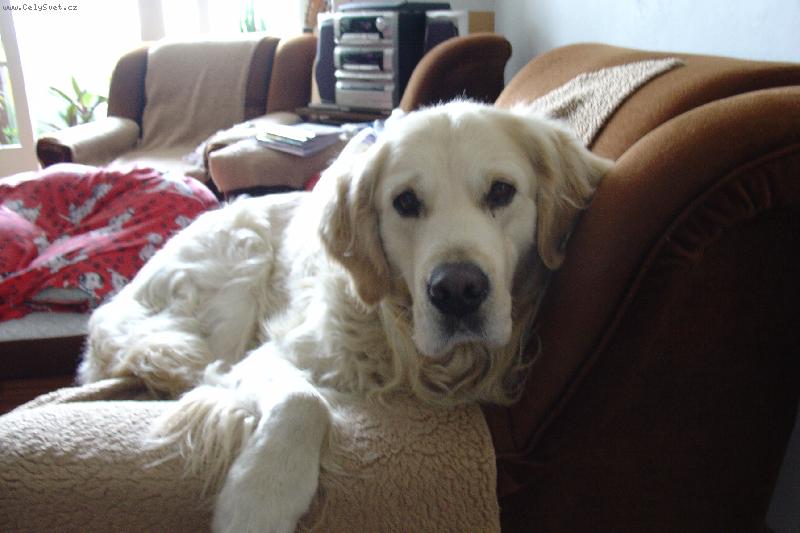 Foto: Na gau�i-Dag�sek