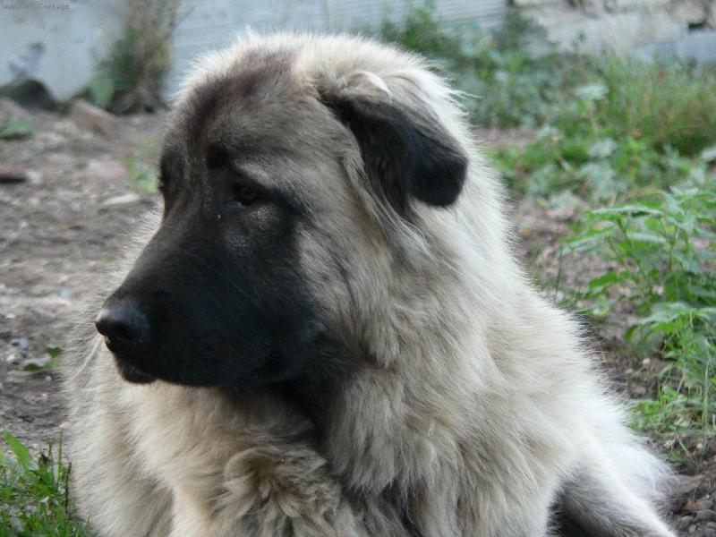 Foto: Baryk , v�k 10 m�s�c�