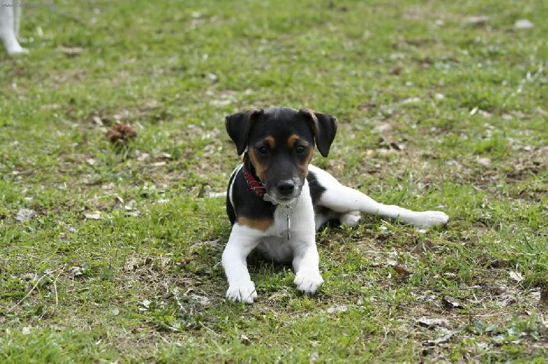 Foto: Abby John Russell-Hodn� tmav�