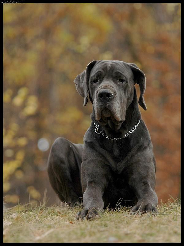 Foto: Na�e Hydra....