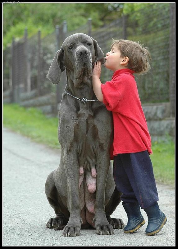 Foto: Kamar�dky.....