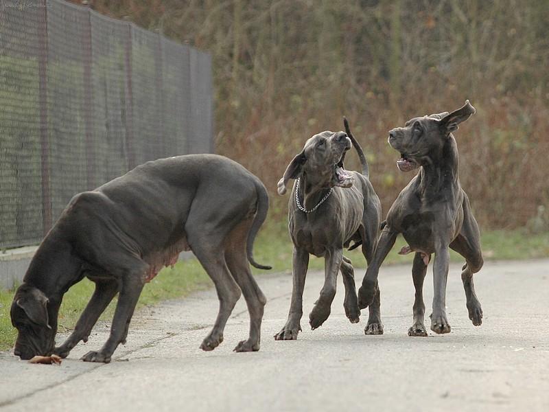 Foto: Ven�en�.....