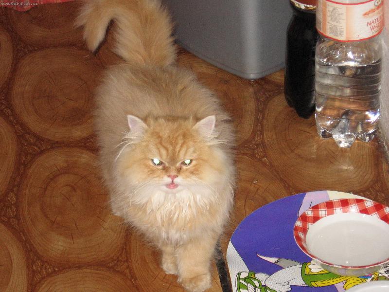 Foto: MAT�SEK-n� zrze�ek