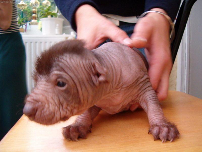 Foto: foto �t���tko