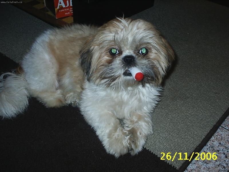 Foto: salinka-to je ale uz fakt posledni!!!