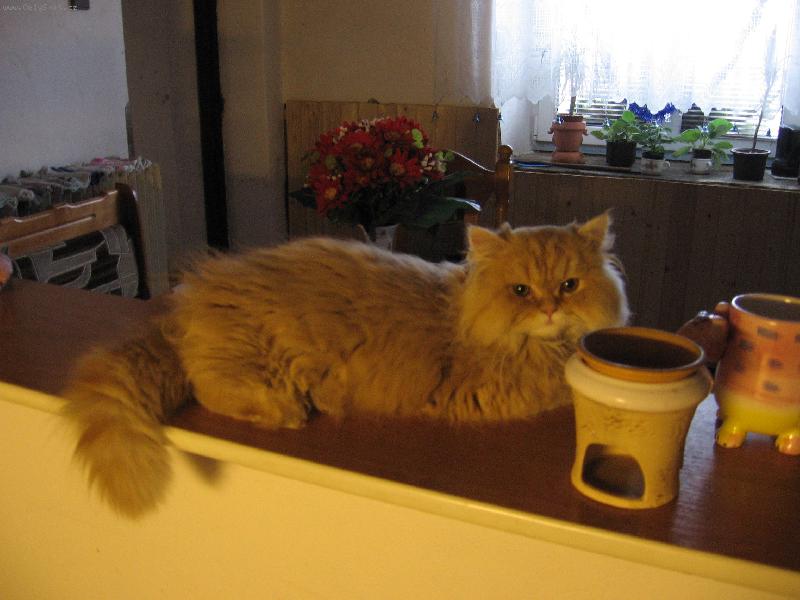 Foto: velka pohoda-MATYSEK