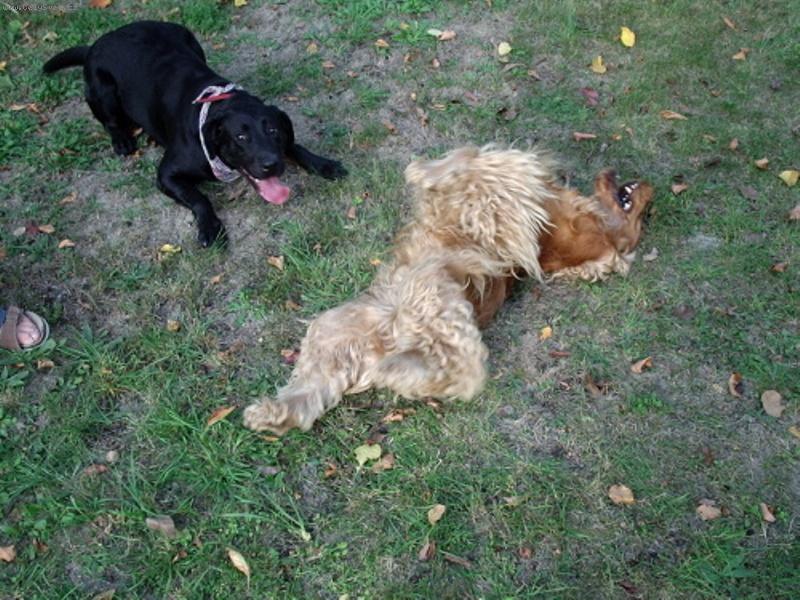 Foto: s kamar�dem-Sandy a kamar�d :-)