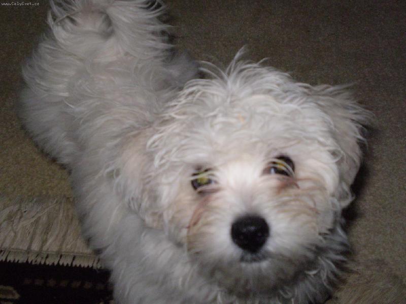 Foto: Po proch�zce v de�ti