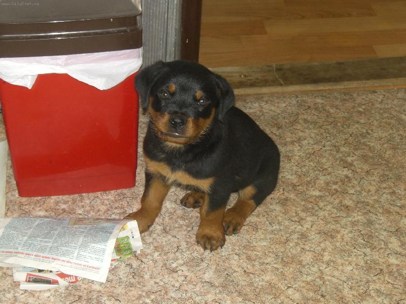 Foto: Ben�k-ve 3 m�s�c�ch