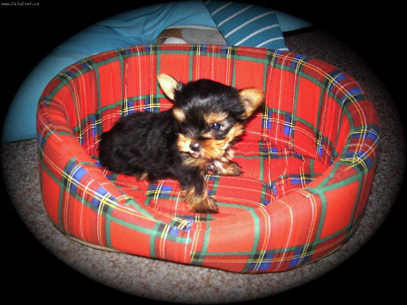 Foto: Na�e velk� ,,mali�k�\" �t�st�