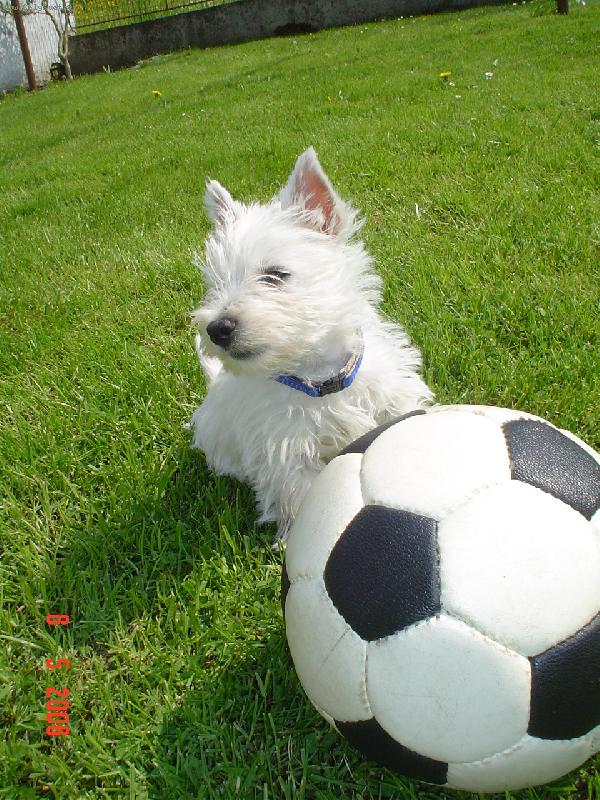 Foto: Gucci-sportovec