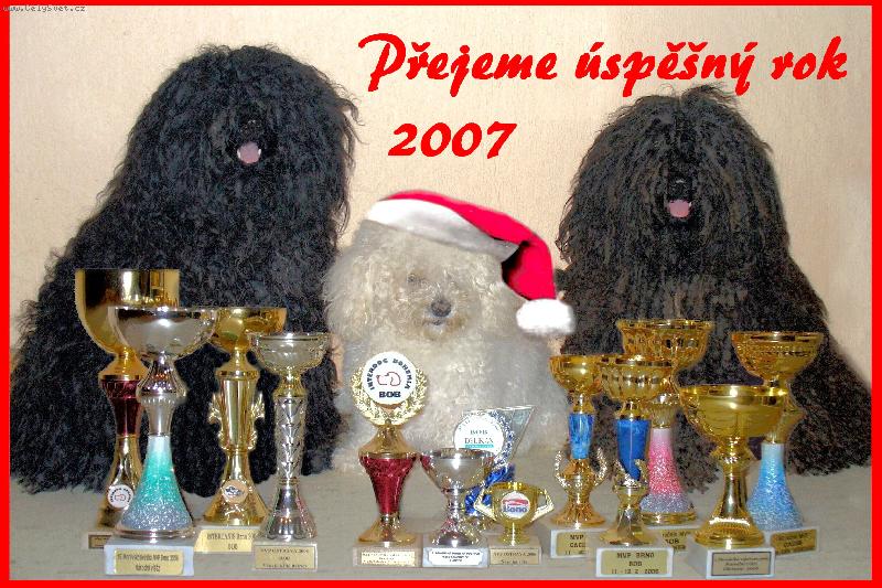 Foto: pul�ci-puli �ern�