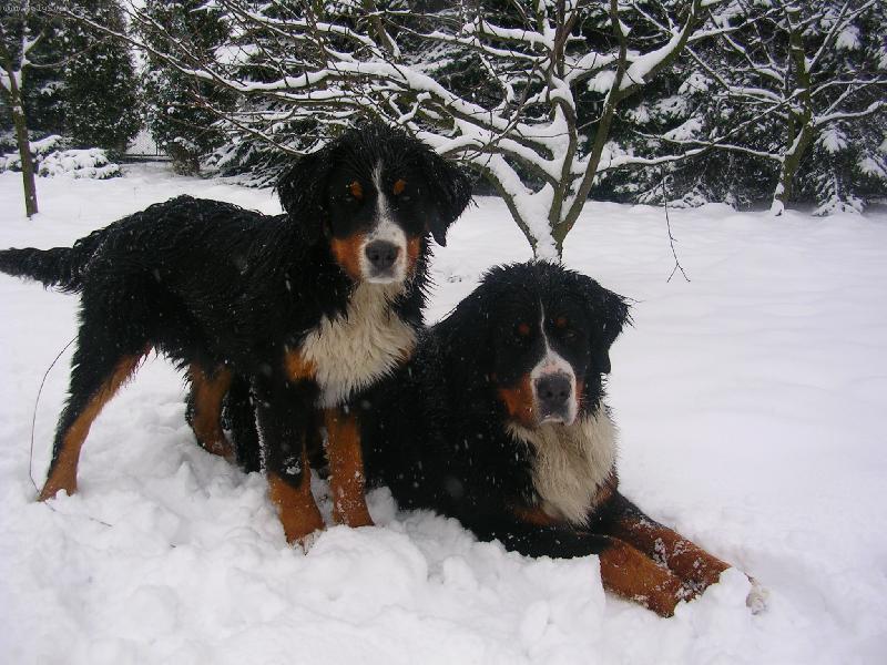 Foto: Max a Sam