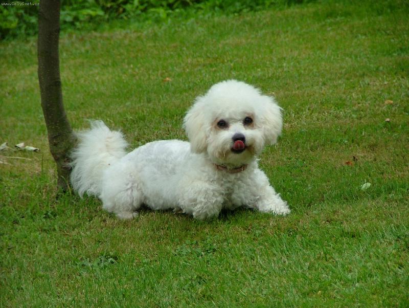 Foto: Lady-To jsem hezk�, co?