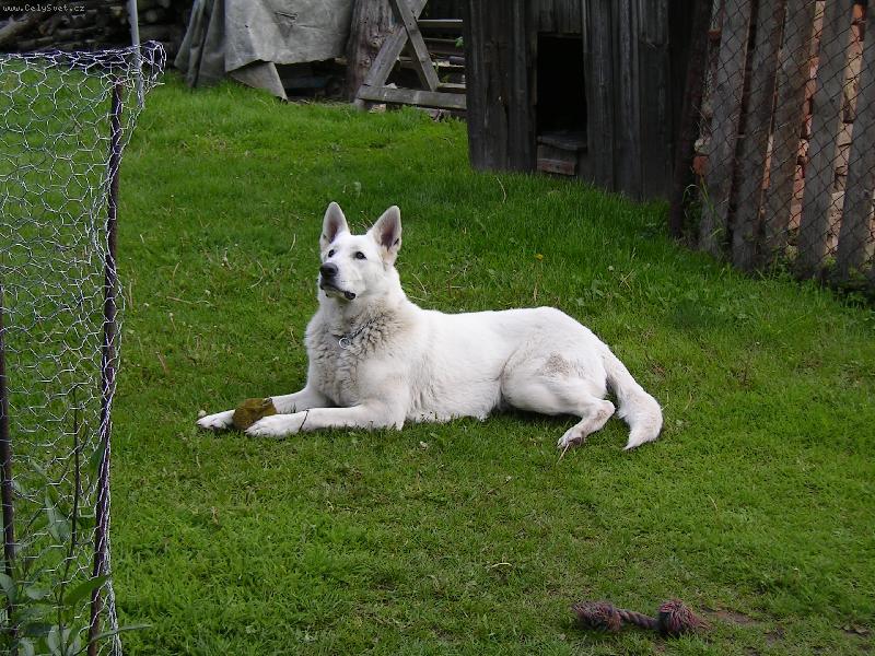 Foto: kam let� ti pt�ci!!