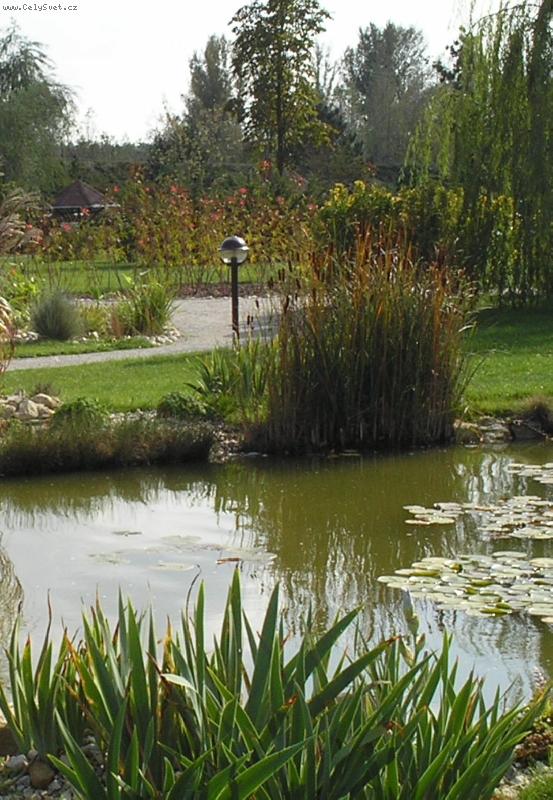 Foto: Kyti�ky-Horizont-Olomouc