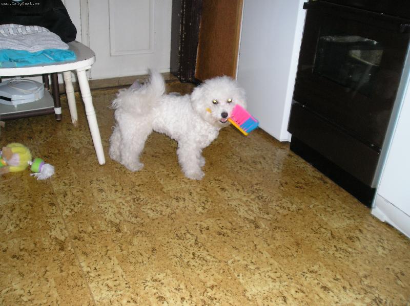 Foto: A jdeme ukl�zet!