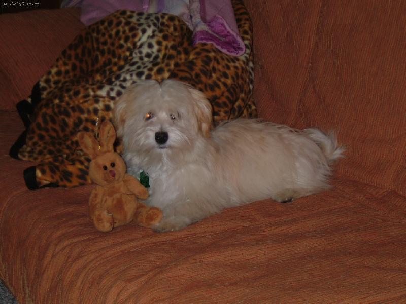 Foto: J� a m�j zaj�c