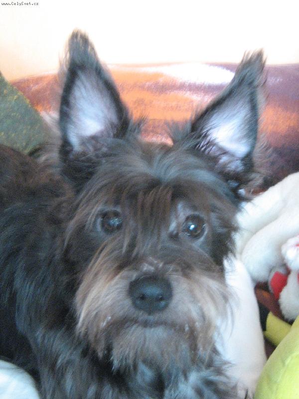 Foto: Jak se v�m l�b�m