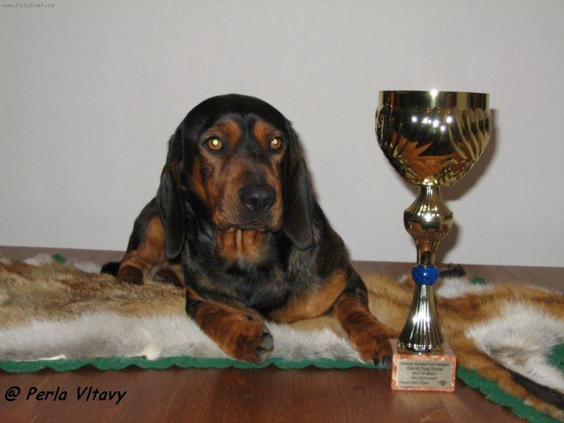 Foto: Takhle jsem byl �ikovn�-Sv�tov� v�stava Pozna� 2006