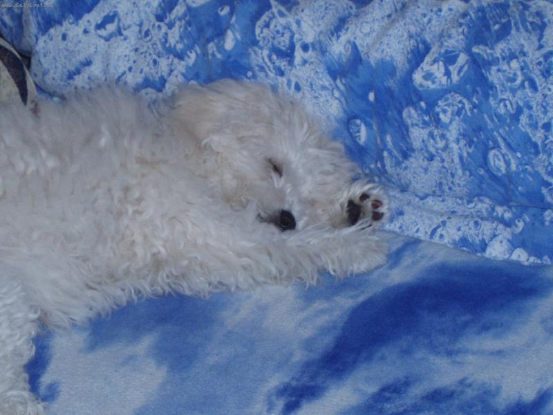 Foto: Sp�c� Jessinka