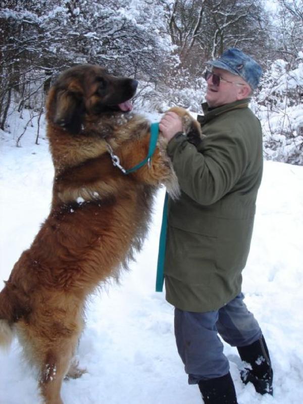 Foto: Kone�n� sn�h