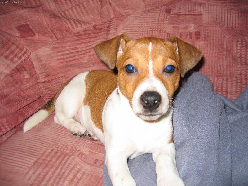 Foto: Na�e druha hol�i�ka