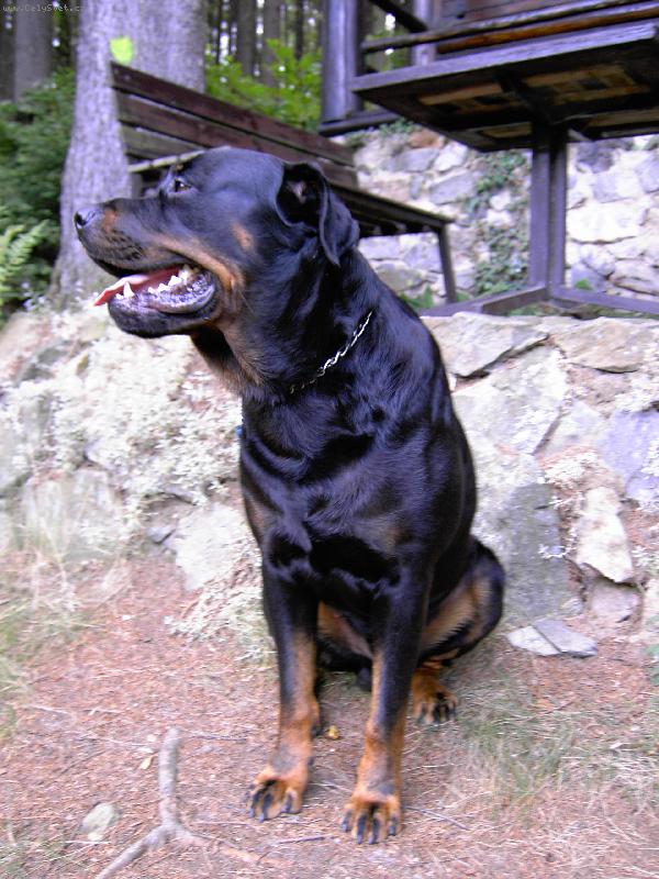 Foto: M�j nejlep�� p��tel-nen� co dodat :))